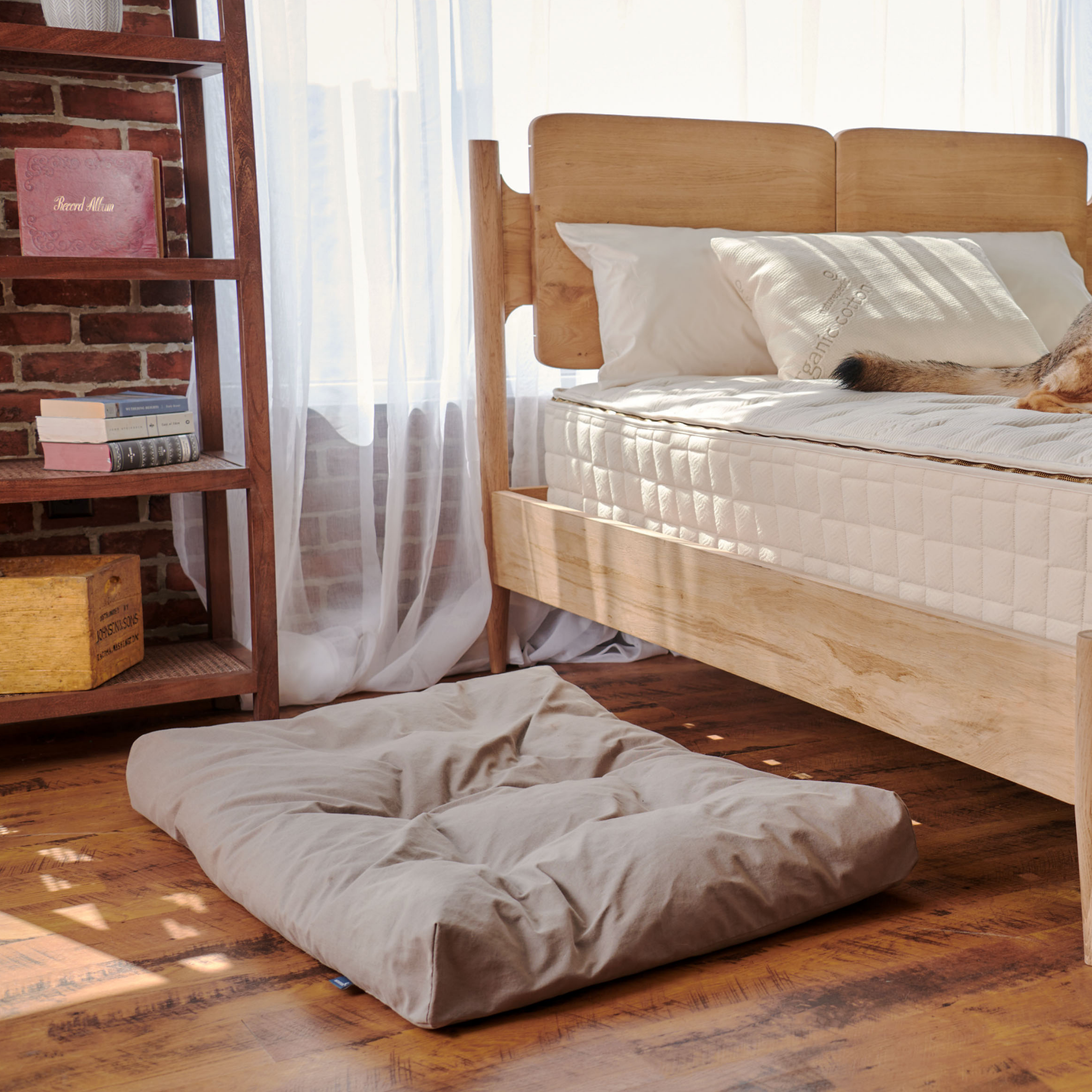 Organic Latex Dog Bed With Waterproof Cover