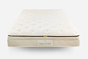 halcyon luxury collection