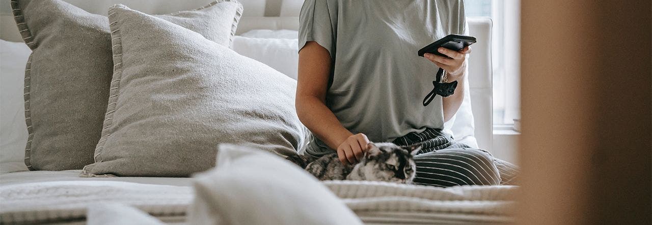 Woman sitting on the edge of her bed, petting her cat and looking at her phone