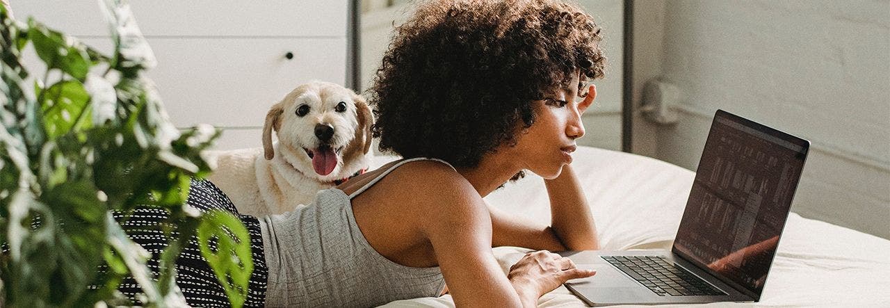 Woman researching flame retardants on her laptop while her dog sits close by