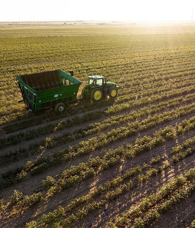Tractor driving through scenic organic field