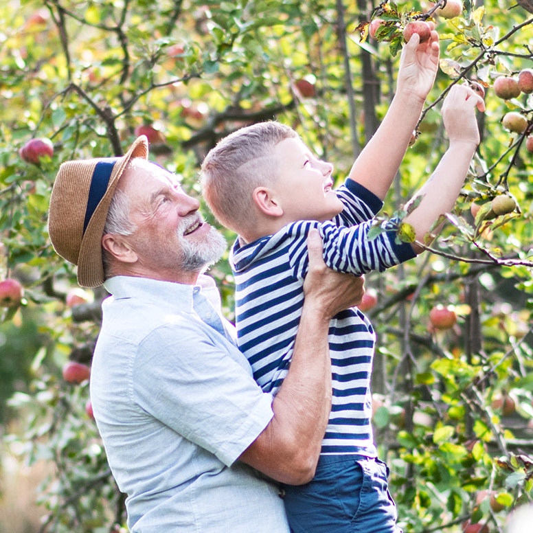 Grandfather holding up grandson picking an organic apple