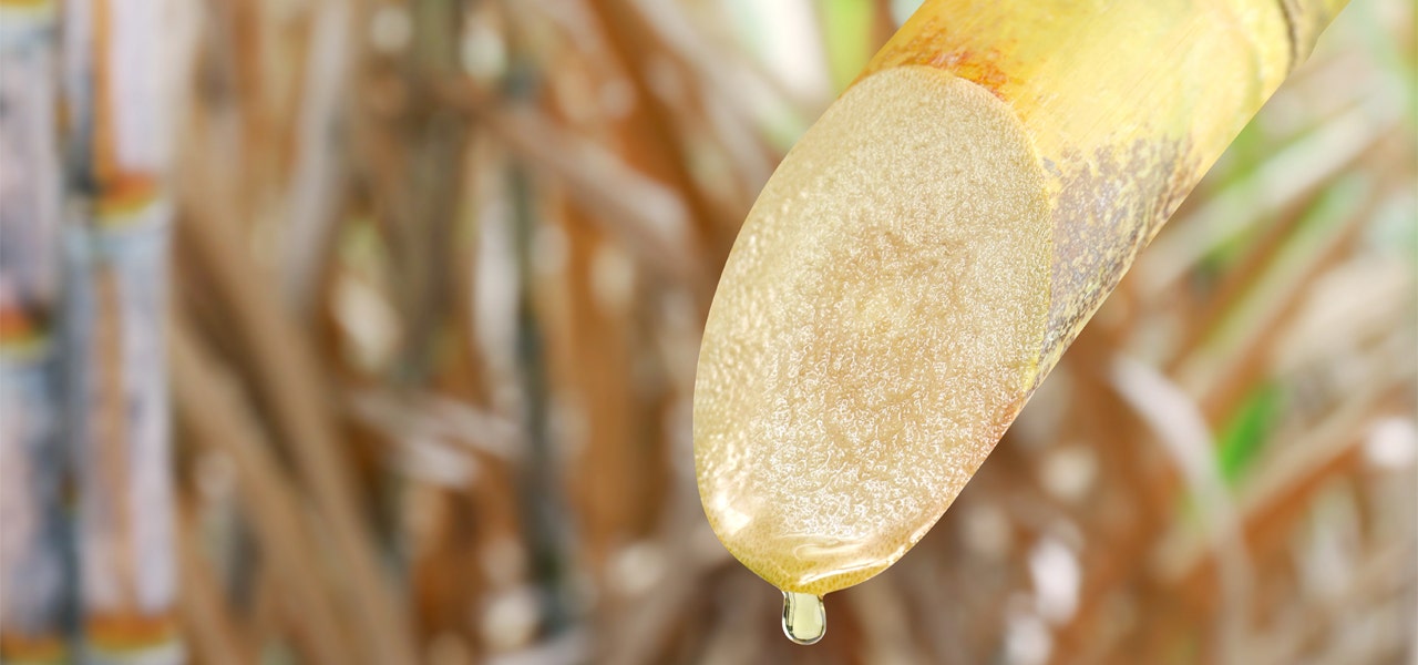 Close-up image of natural sugarcane, cut and dripping