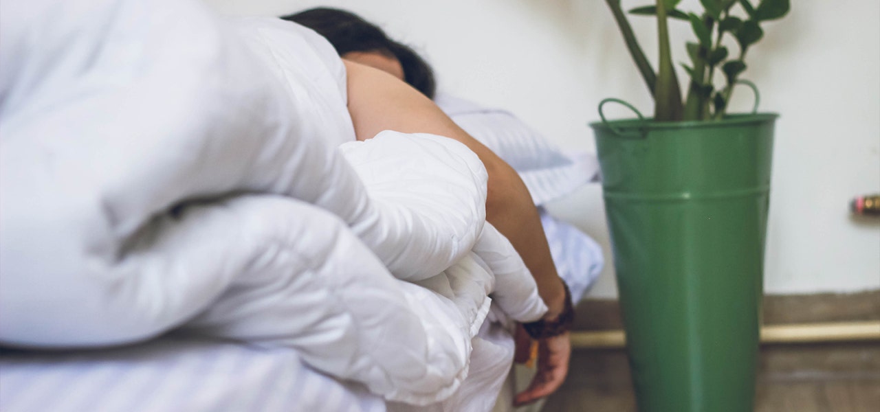 Person sleeping soundly in a comfy bed