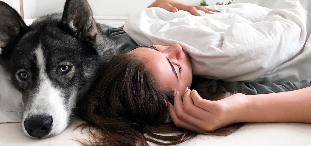 Woman, flushed and hot, sleeping in bed with a large dog