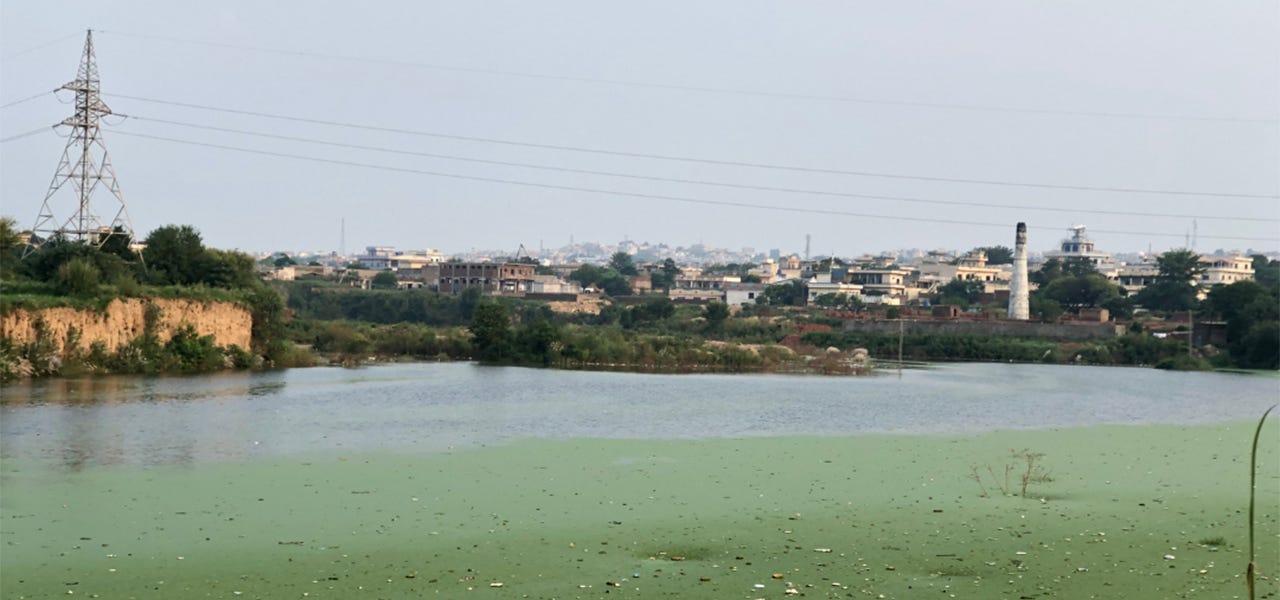 Pulluted waters showing the environmental impact of phthalates