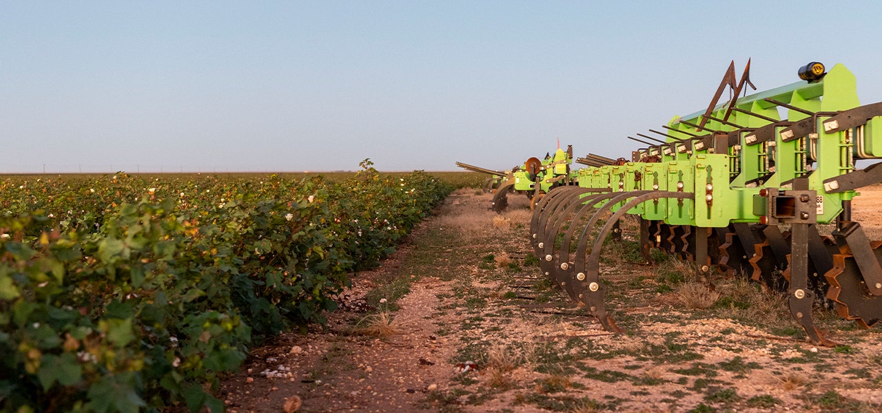 farming equipment in an organic cotton field