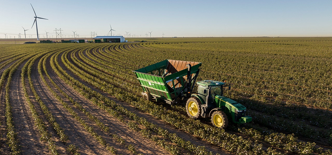 scenic field of organic cotton