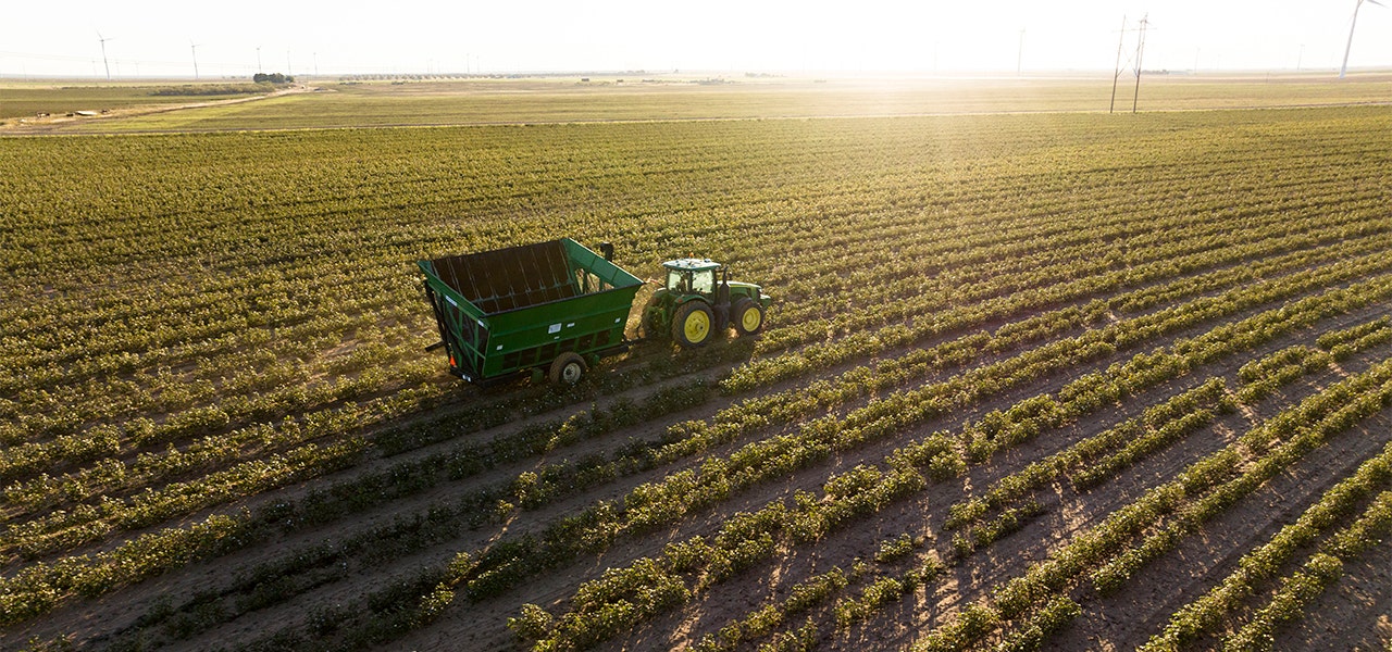 organic cotton tractor in a field