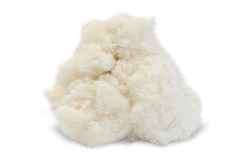 Fluffy Chunk of Organic Cotton