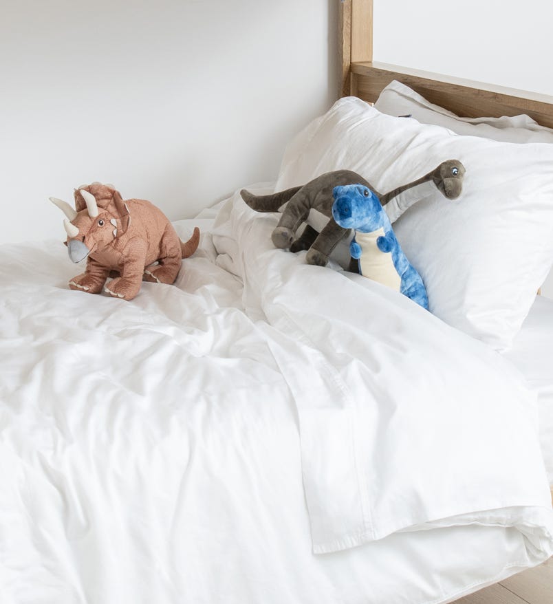 Organic Cotton Sheets