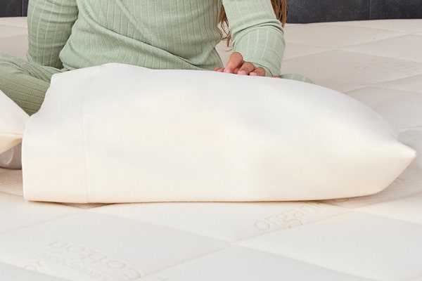 Organic Pillow Protector