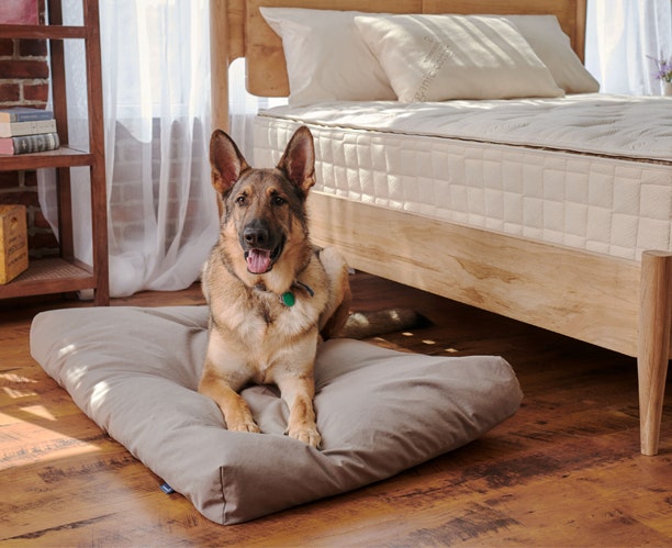 Organic Pet Beds